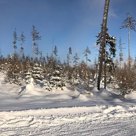 Appartement Chamonix Primo